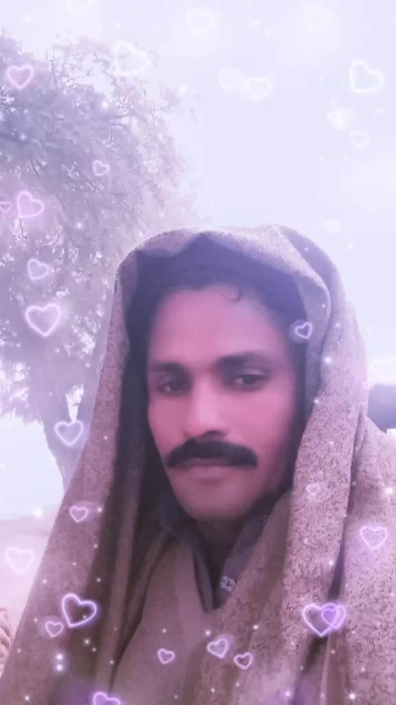 @shabazamir825