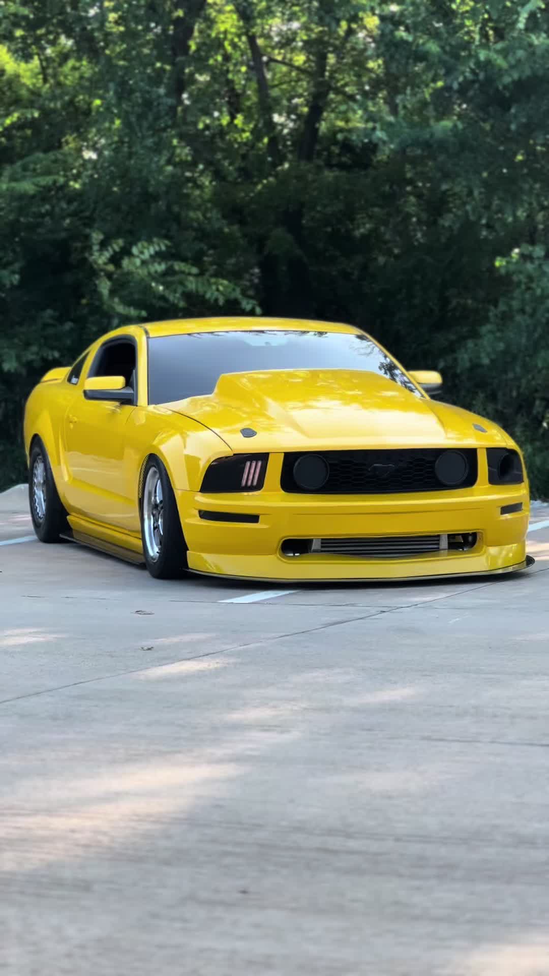 @Boosted Banana