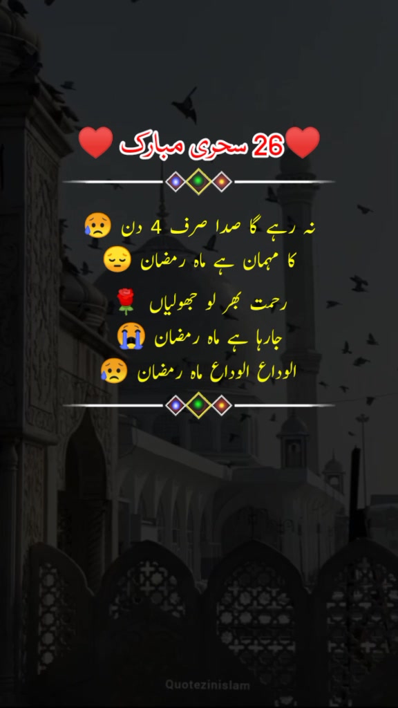 @🥀🆂𝐡𝐨𝐚𝐢𝐛 🆆𝐫𝐢𝐭𝐞𝐬🥀