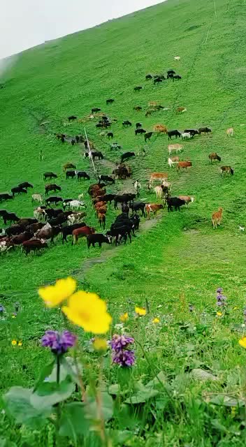 @Waseem Sajjad7125