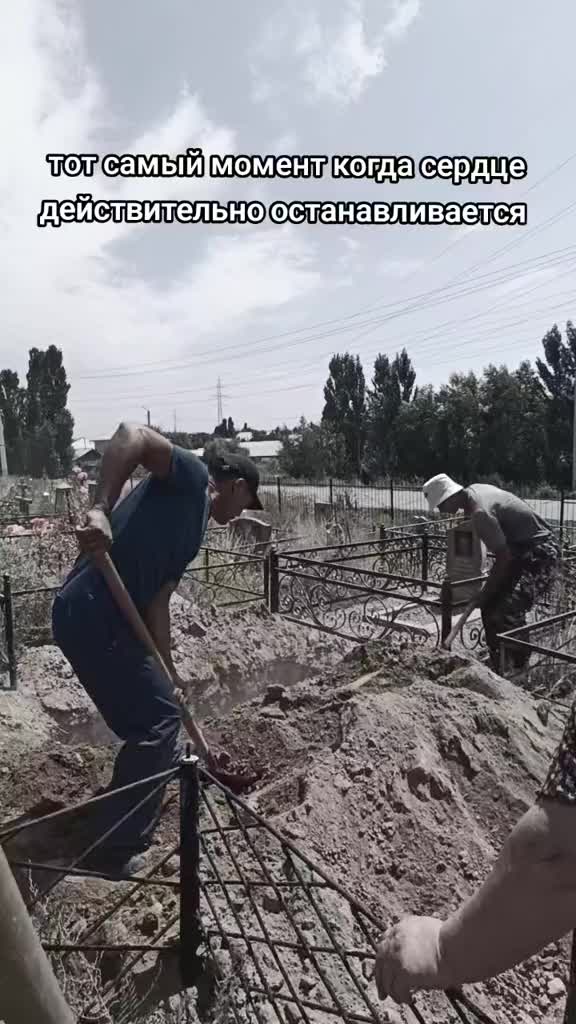@Леон Кемстач