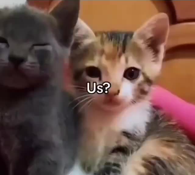 @david <3