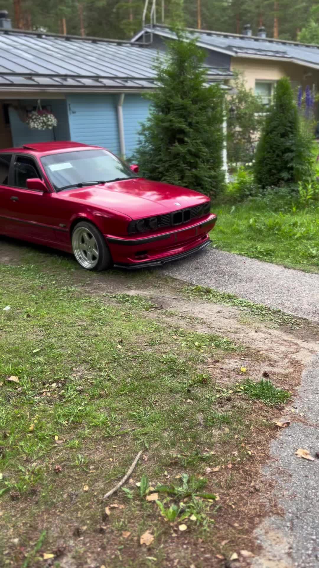 @Mikhail.Ali
