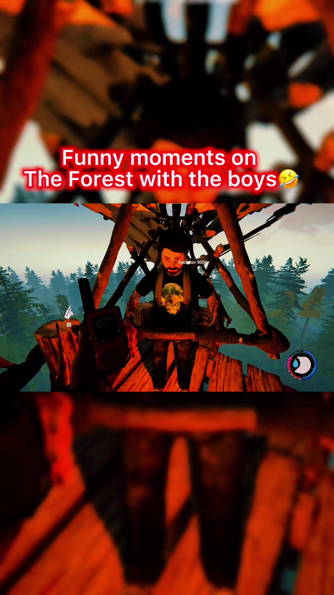 @ddogjr