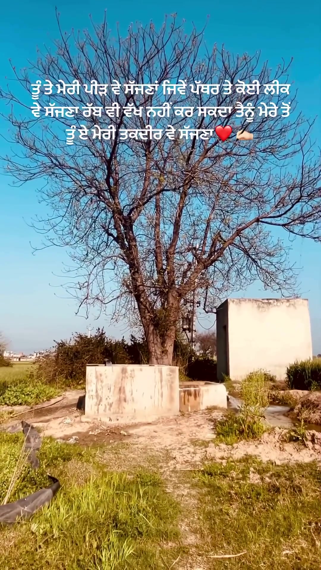 @sabbal_gaxg