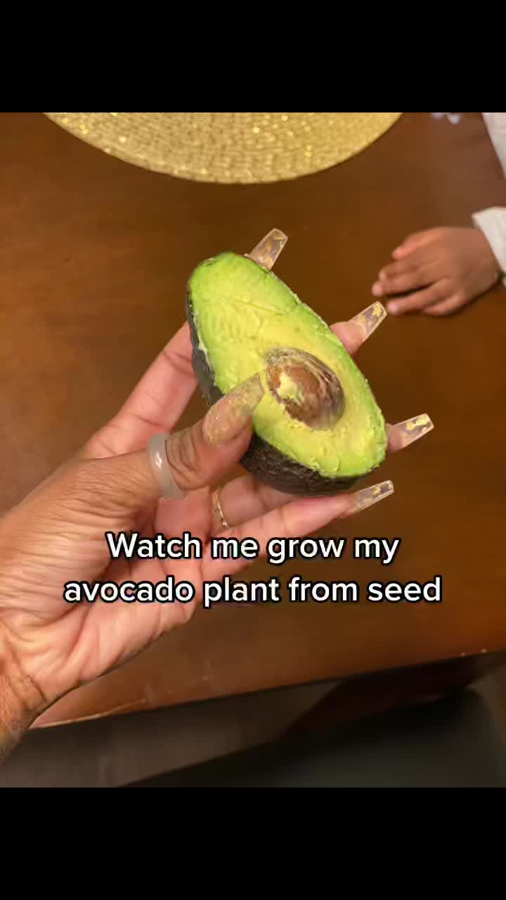 @Jeneen✨✨✨