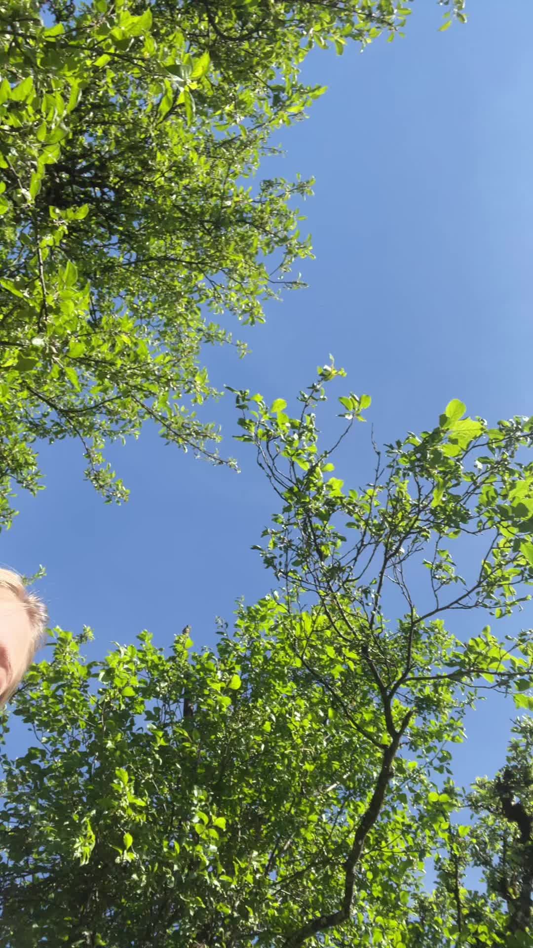 @blondes Zwergi 👸🏼