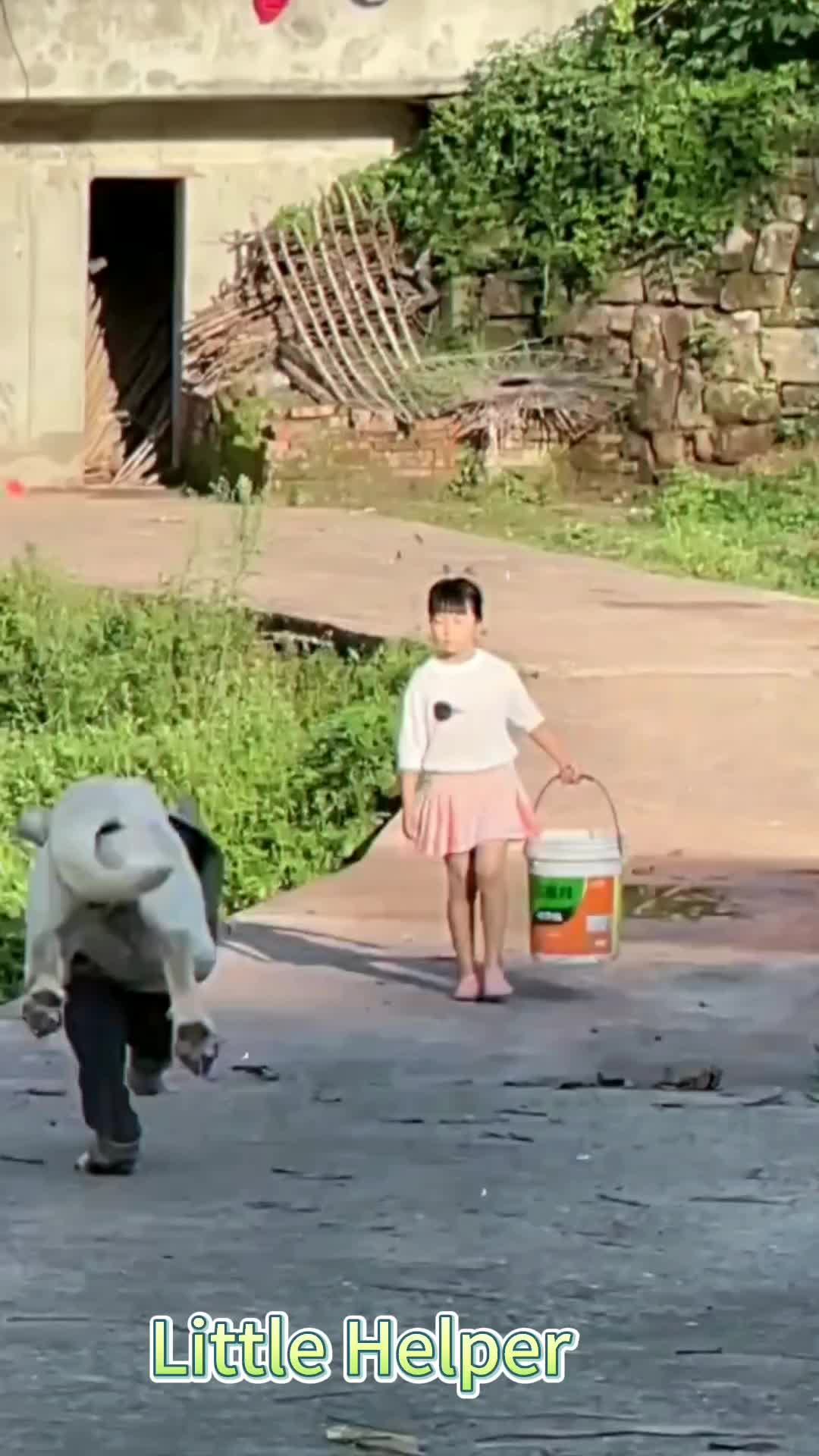 @xiaotwile3t