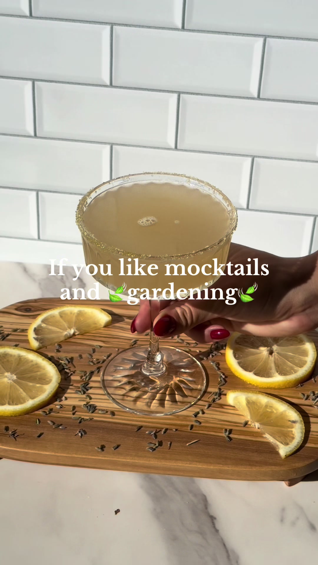 @maya 🌙