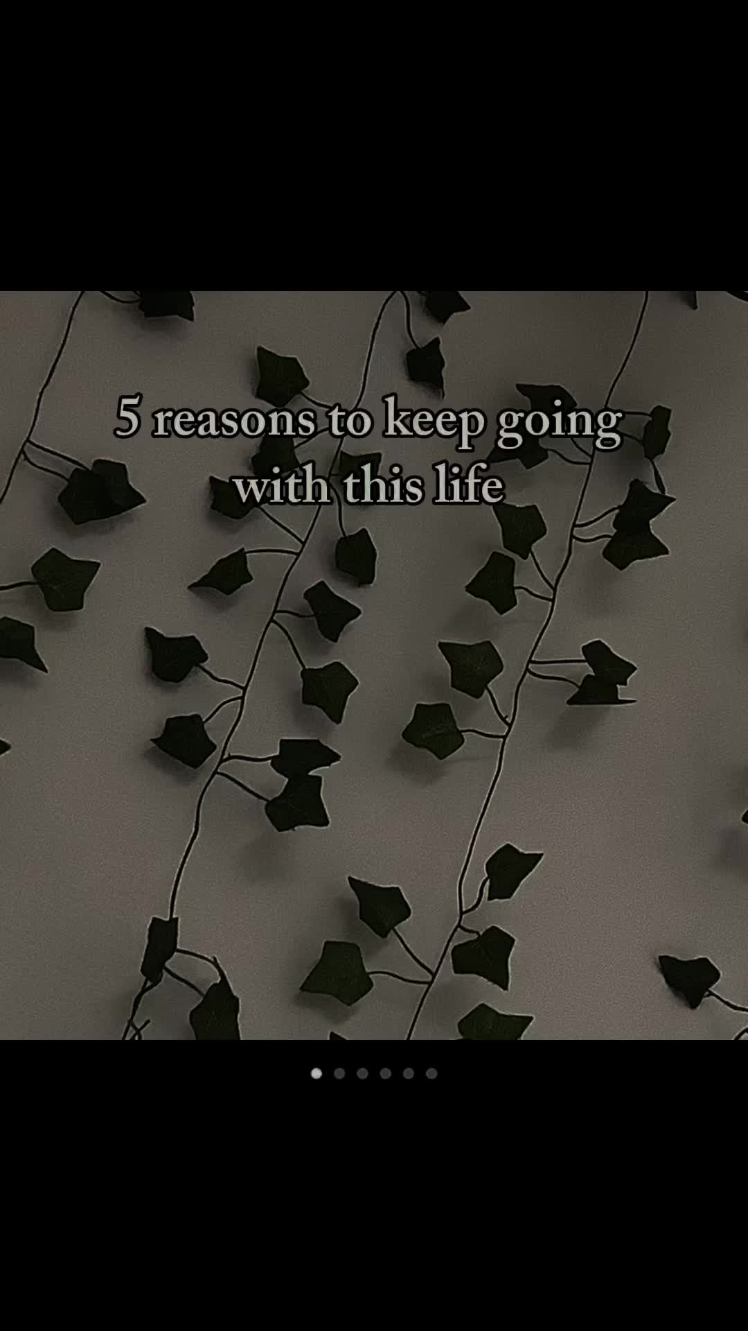 @🕊️