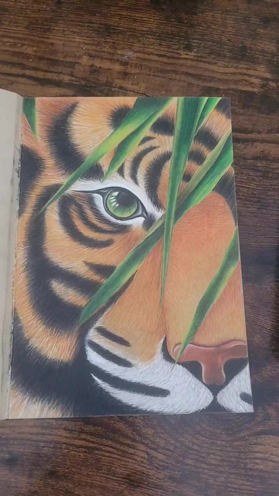 @ManonRc_draw