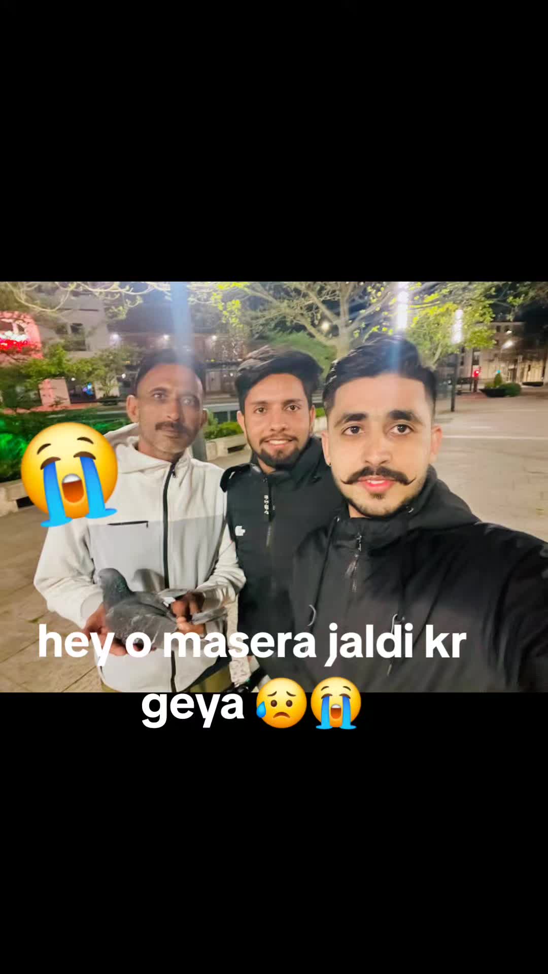 @ملک گجرات آلا🦅⚠️