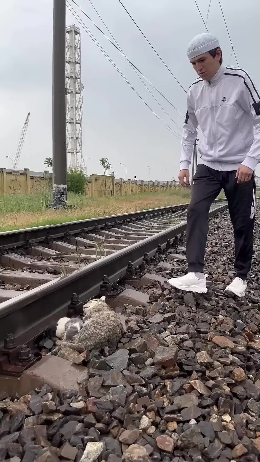 @Dynamic_rescue