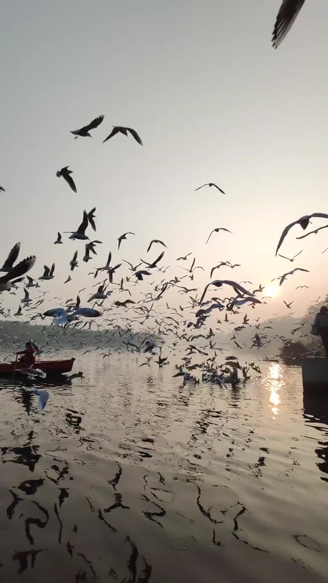 @majakovska