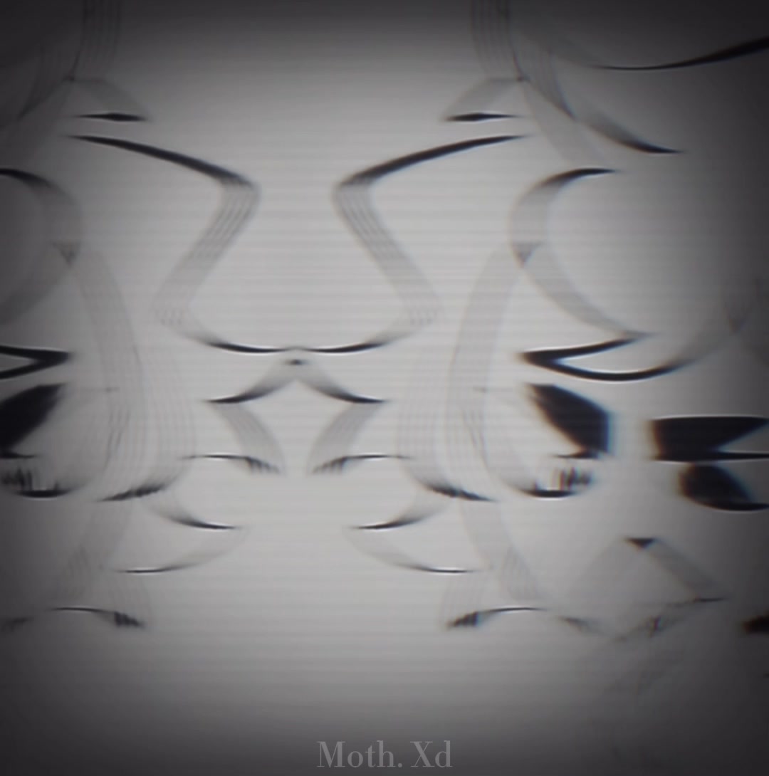 @✦The editor✦