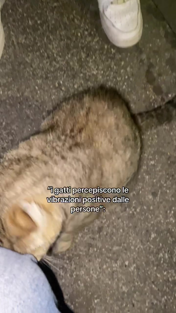 @fe