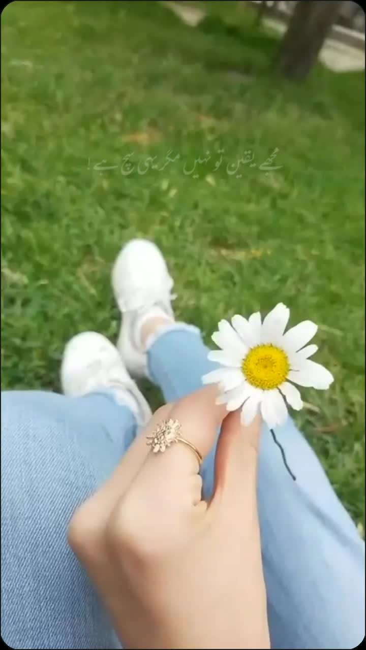 @༄❥︎𝑄𝑢𝑒𝑒𝑛ꨄ︎&bull;