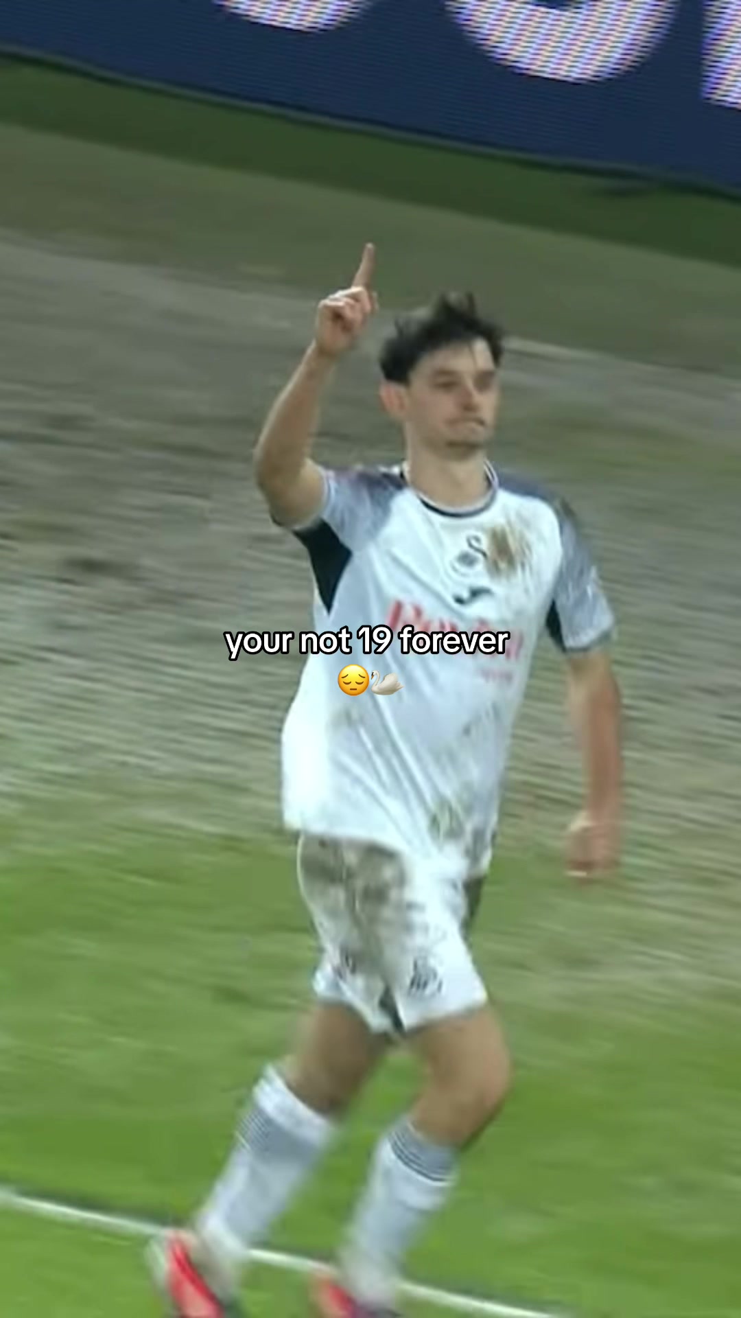 @Swansea City AFC 🦢