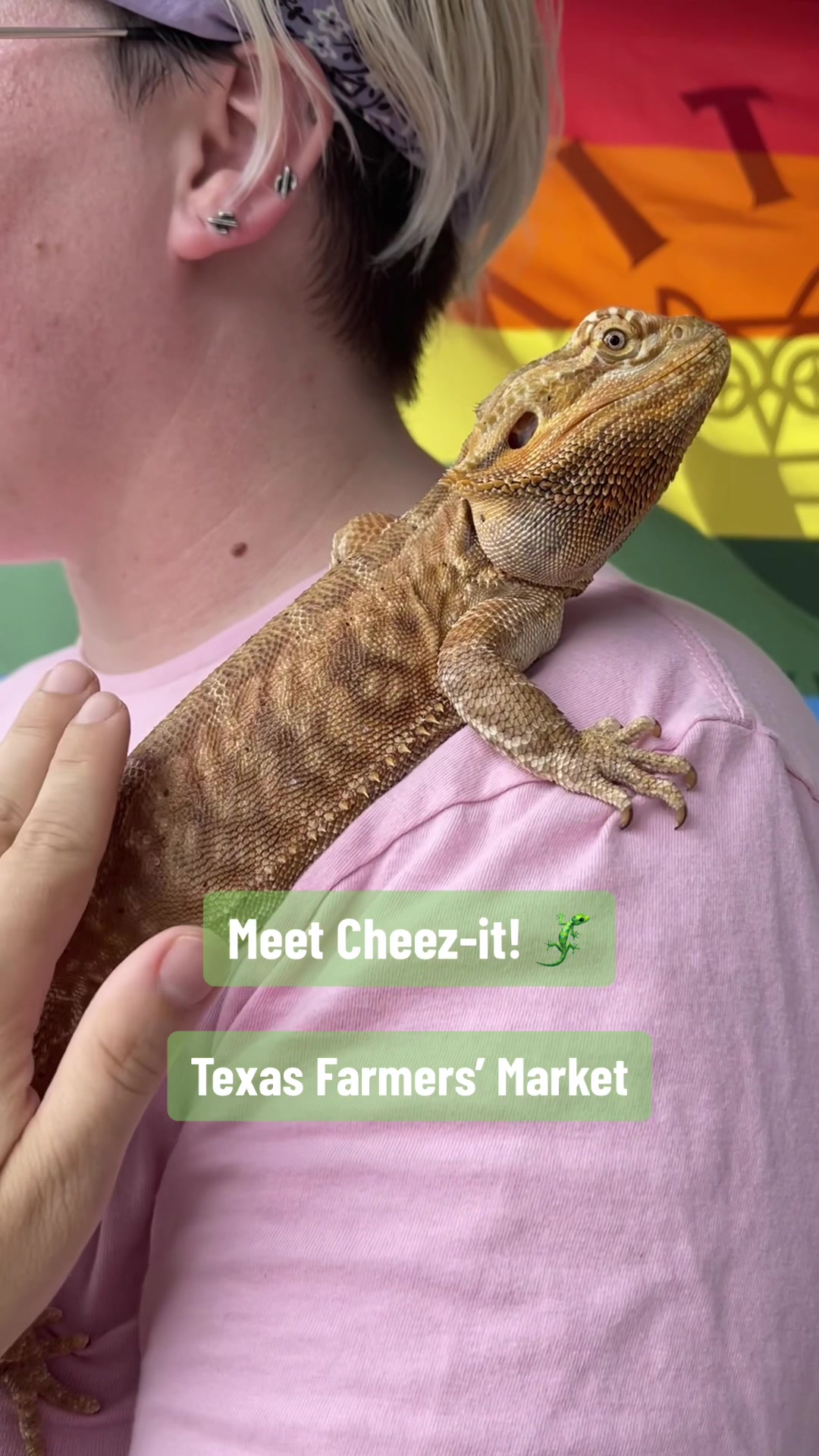 @Texas Farmers Market