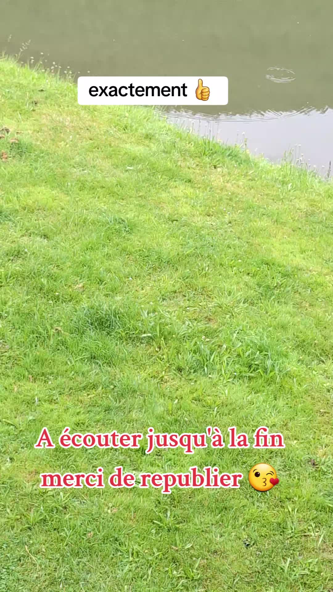 @⚜️ Cléopatre ⚜️