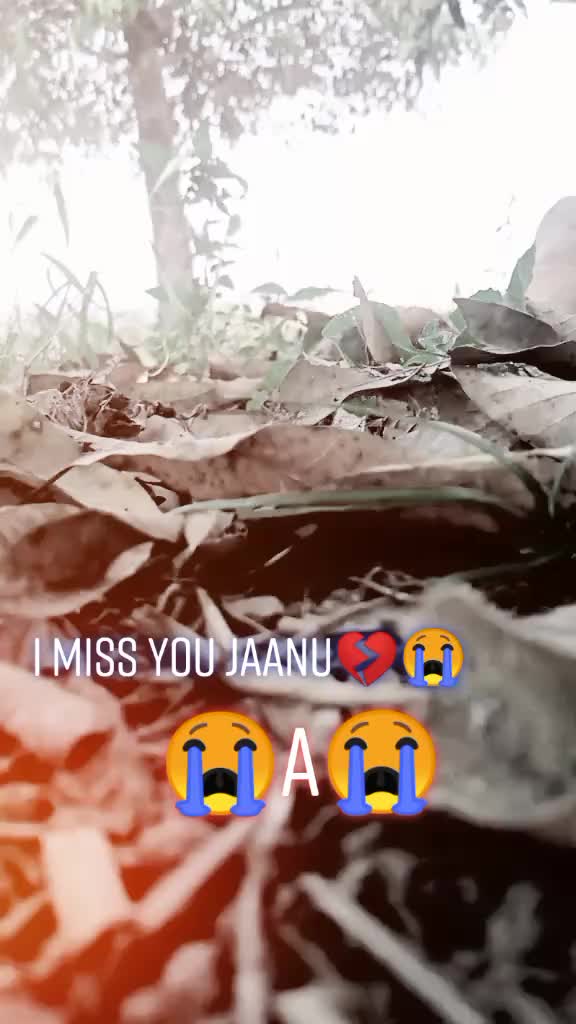 @ใโ
๐ฑ๐ฎ ๐ฎ๐ข๐ฏ๐ฅ๐ข๐ญ โ
ๅฝก