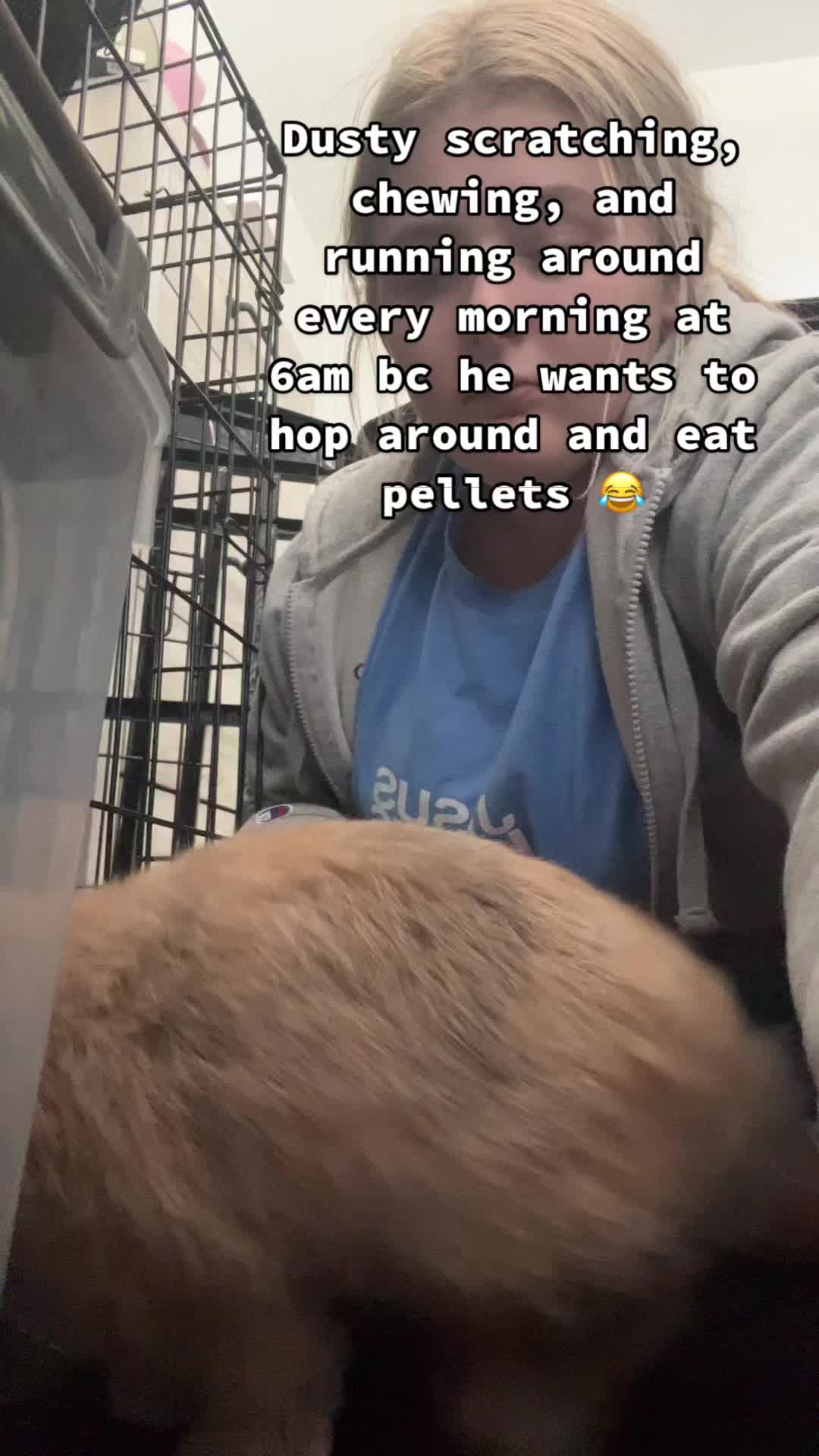 @Ash