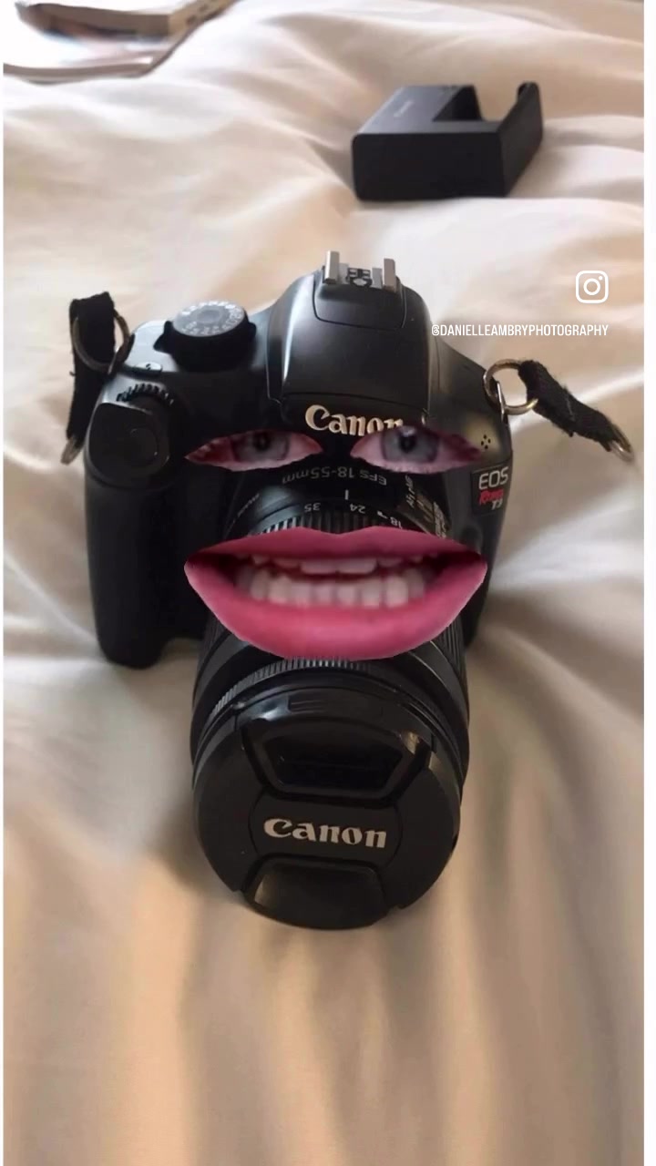 @Danielle Ambry Photography