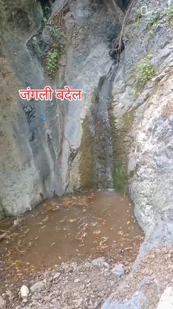 @थापा काजि🙏🙋♂️