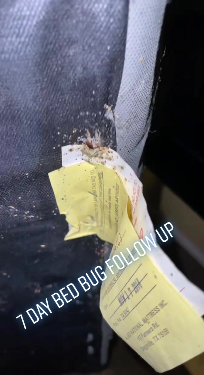 @JetCo Pest & Bed Bug Services