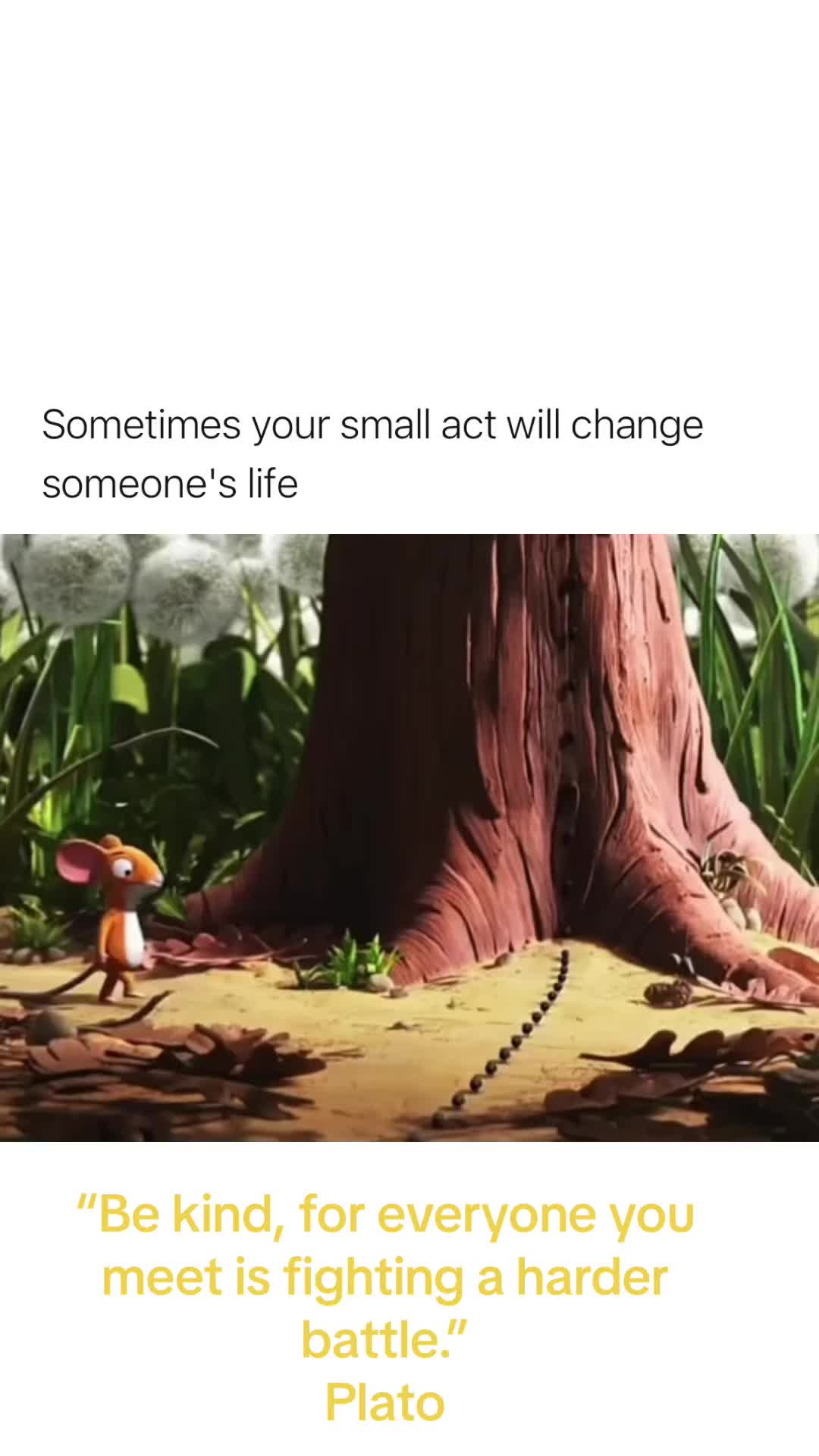 @Joy