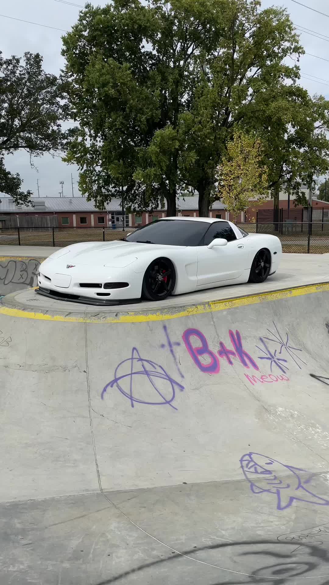 @dxrn