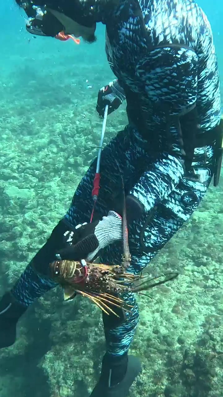 @Chill Diving