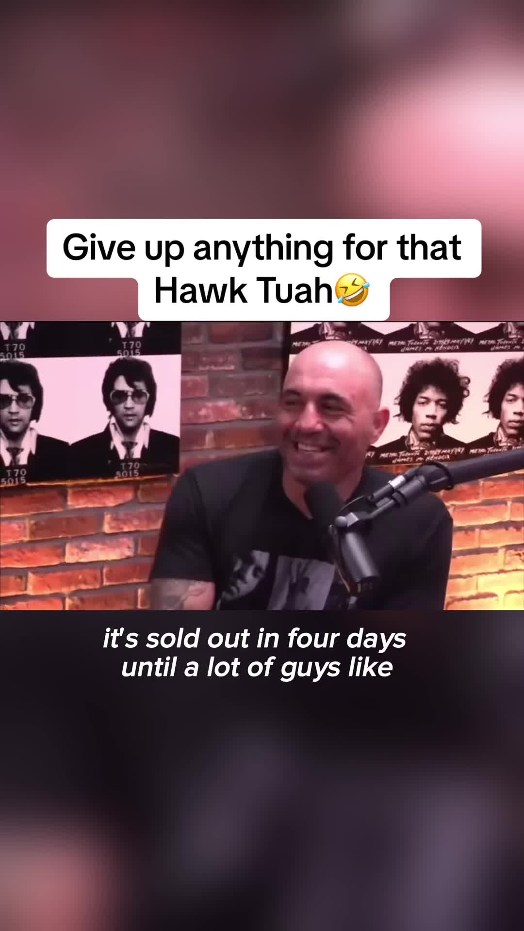 @Experience_JoeRogan