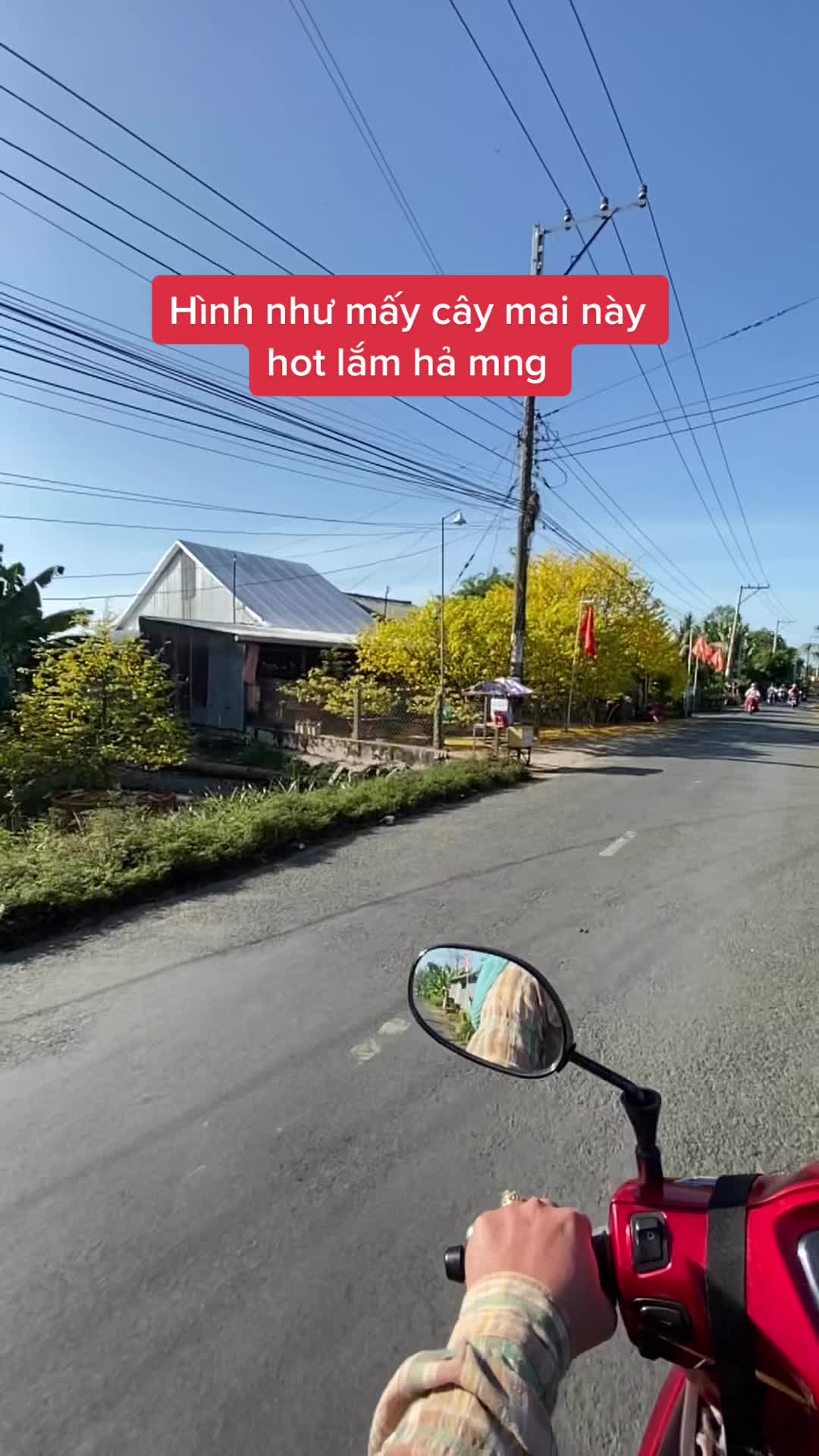@T&agrave;i Linh - Tiệm neo bị khuất