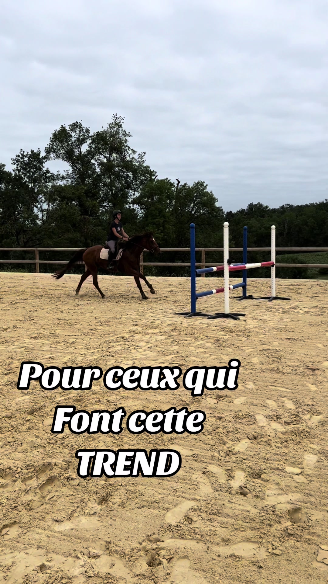 @Campagnarde 🦓