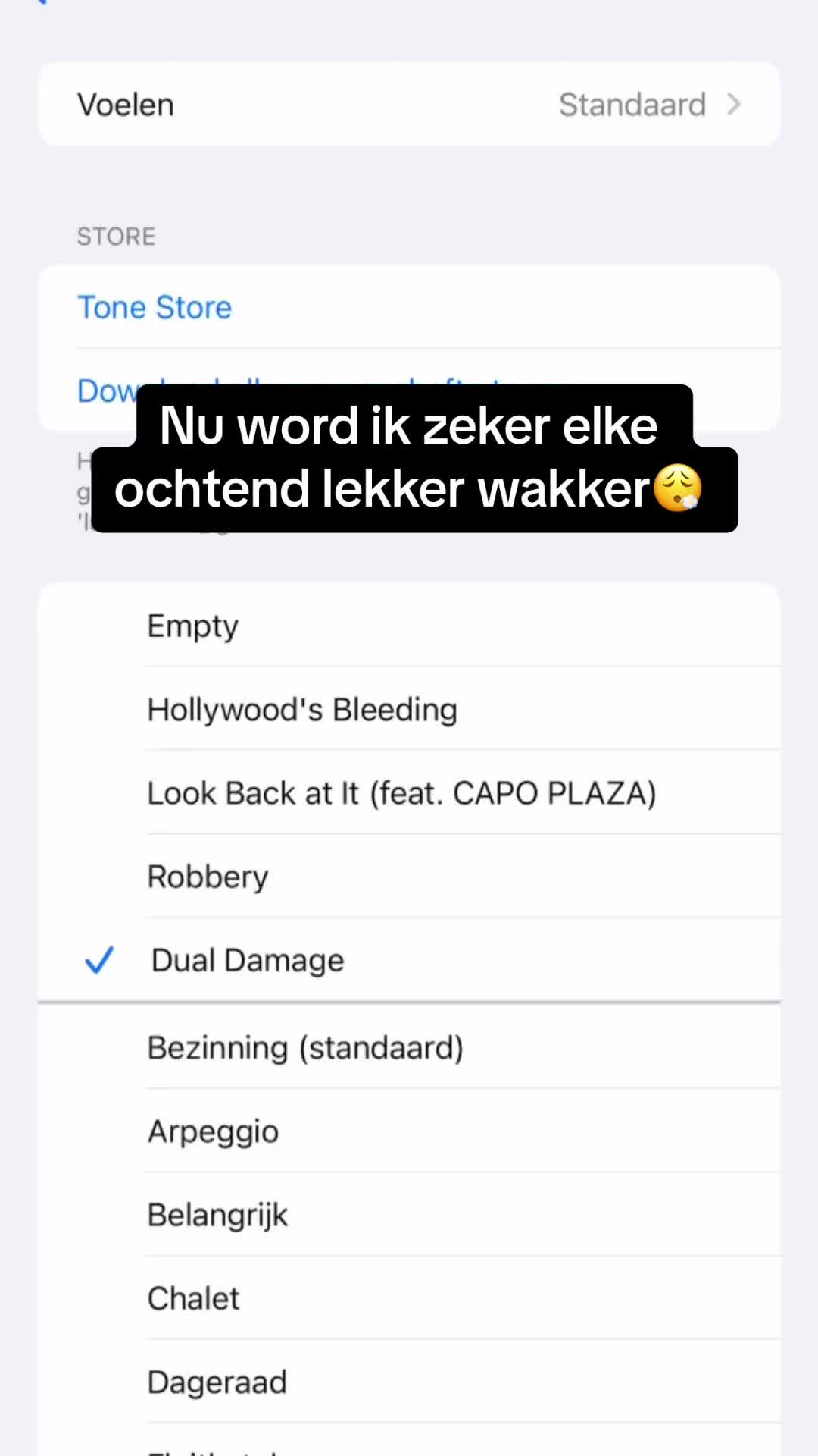 @Luc Smits