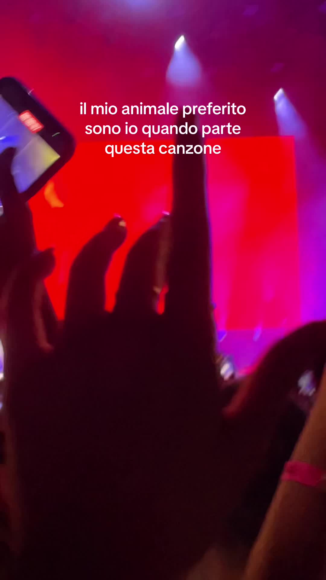 @⭐️