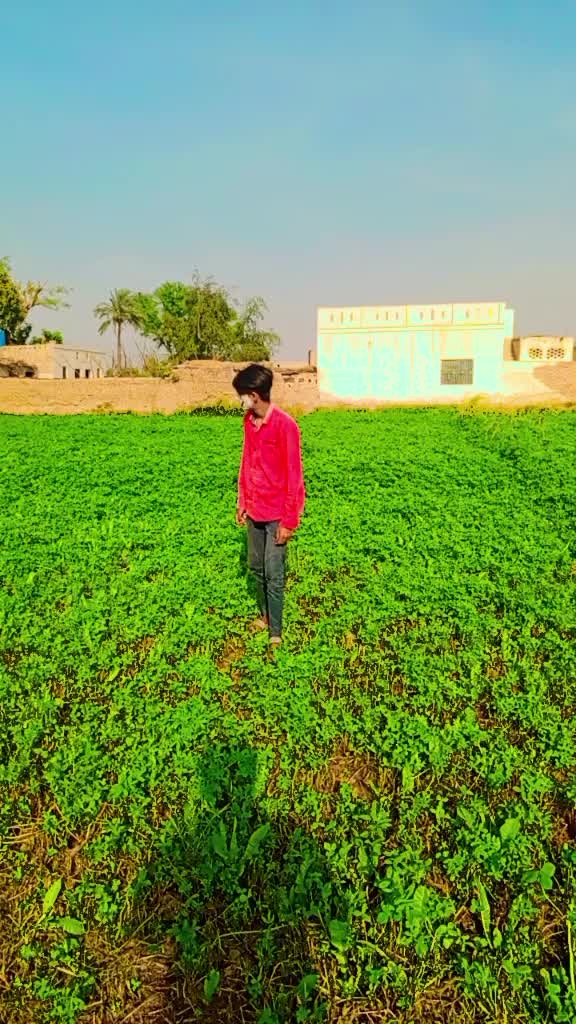 @M.R JOKAR