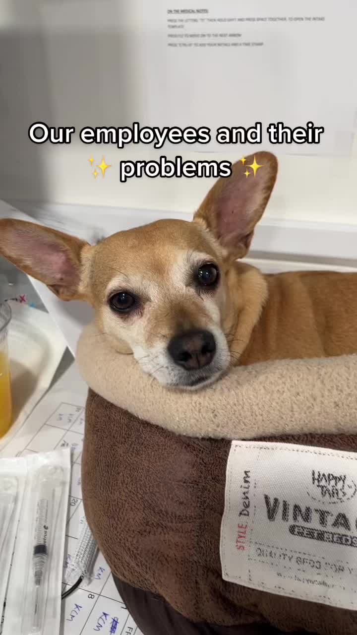 @sfurbanpethospital