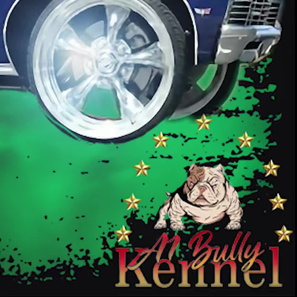 @a1bullykennel