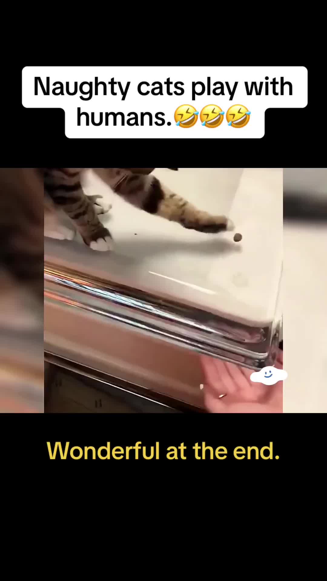 @Cute Pets😻