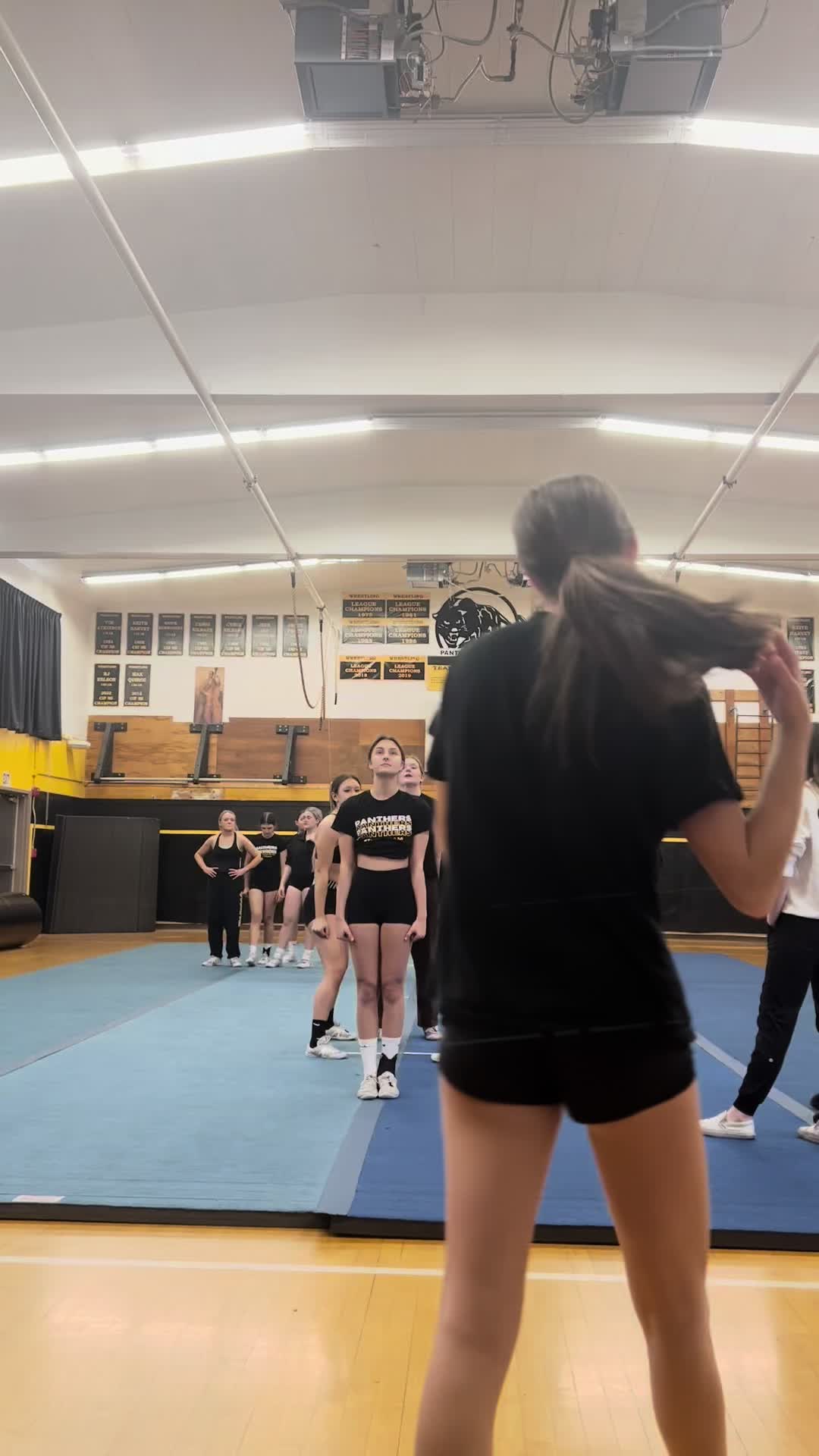 @NPHS Panthers Stunt ๐๐ค๐๐พ