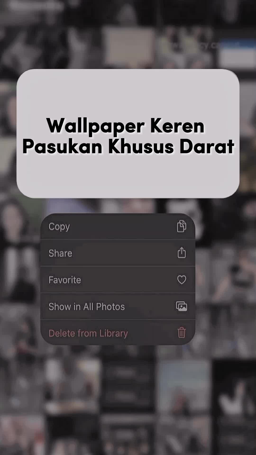 @Mamkuystore