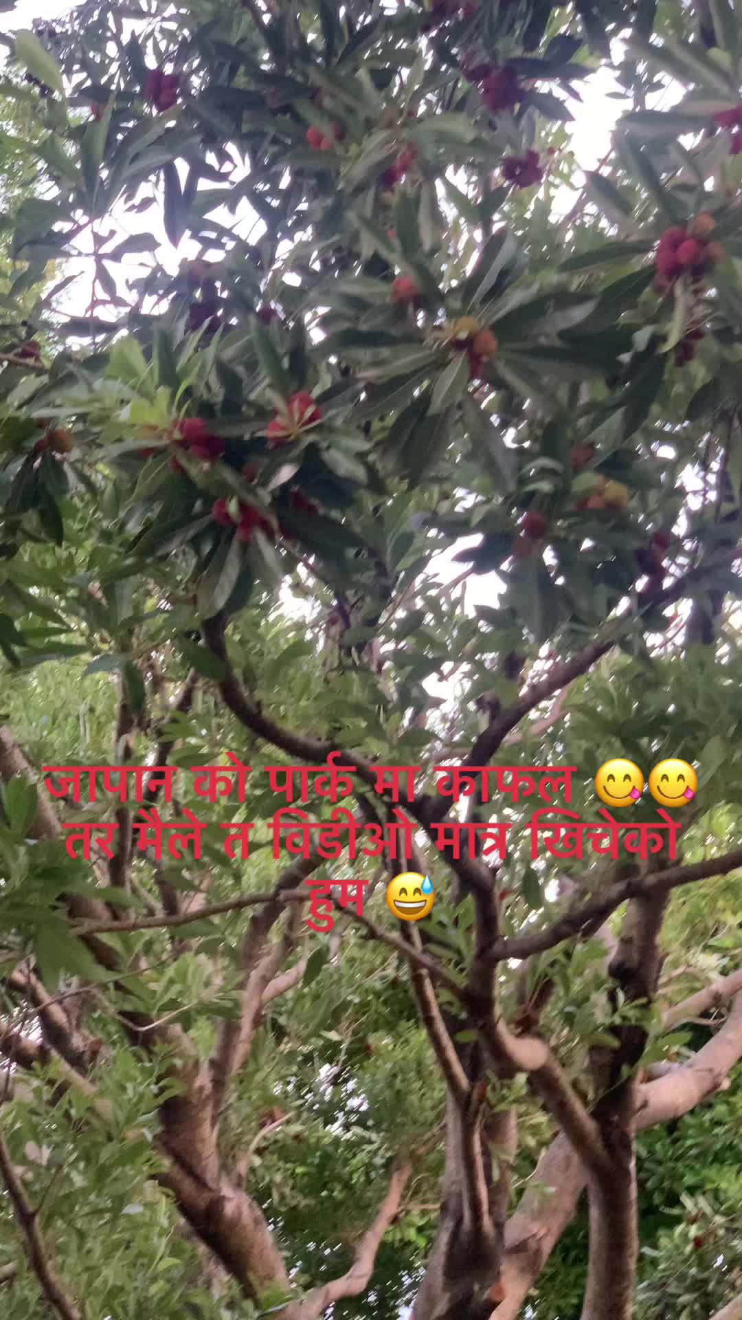 @@NiYaSa ChYaN❣️❣️