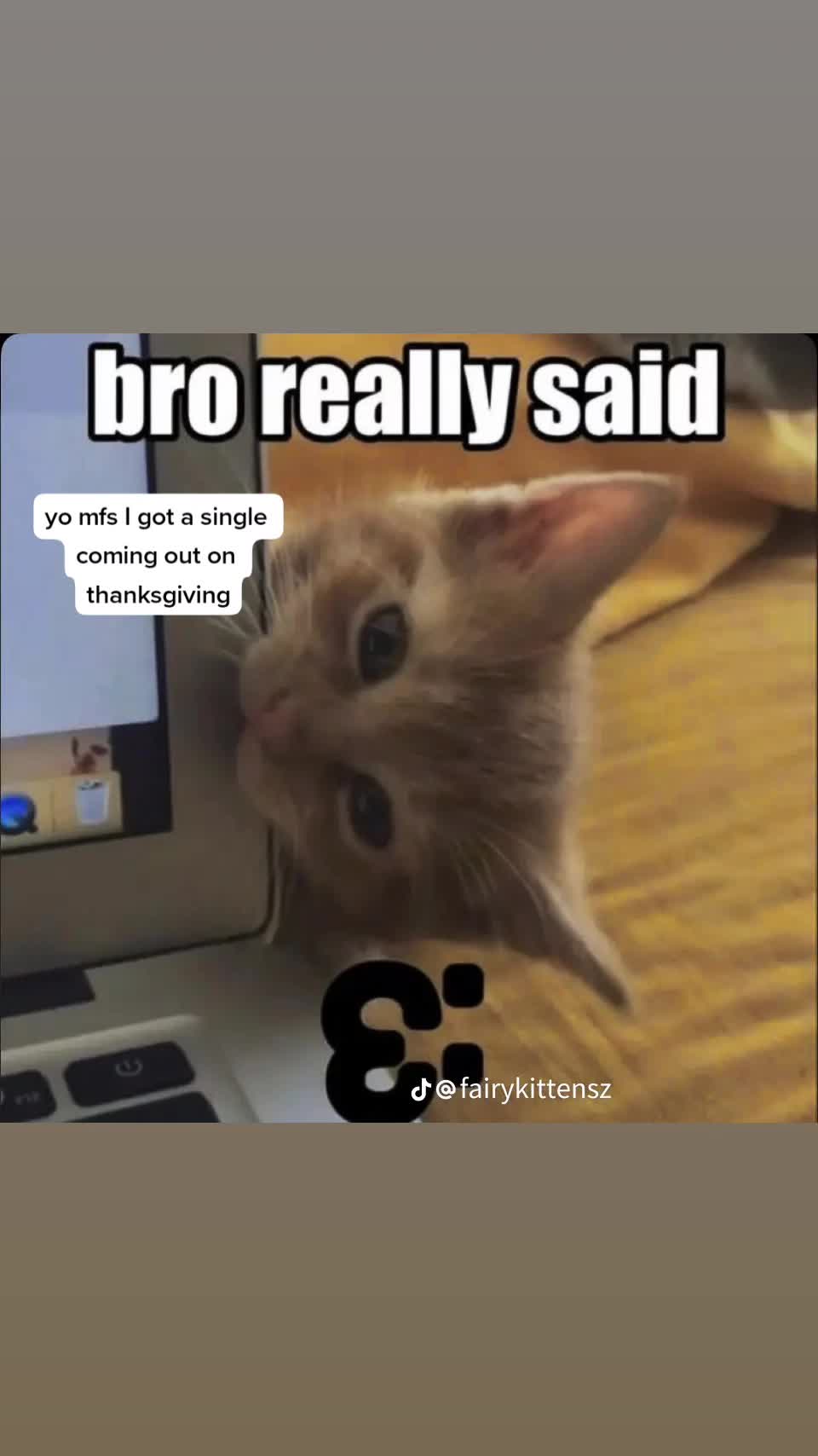 @Ferret Theory