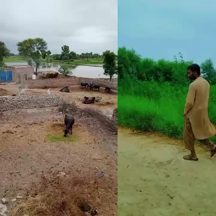 @Rashid Ali Sadhak
