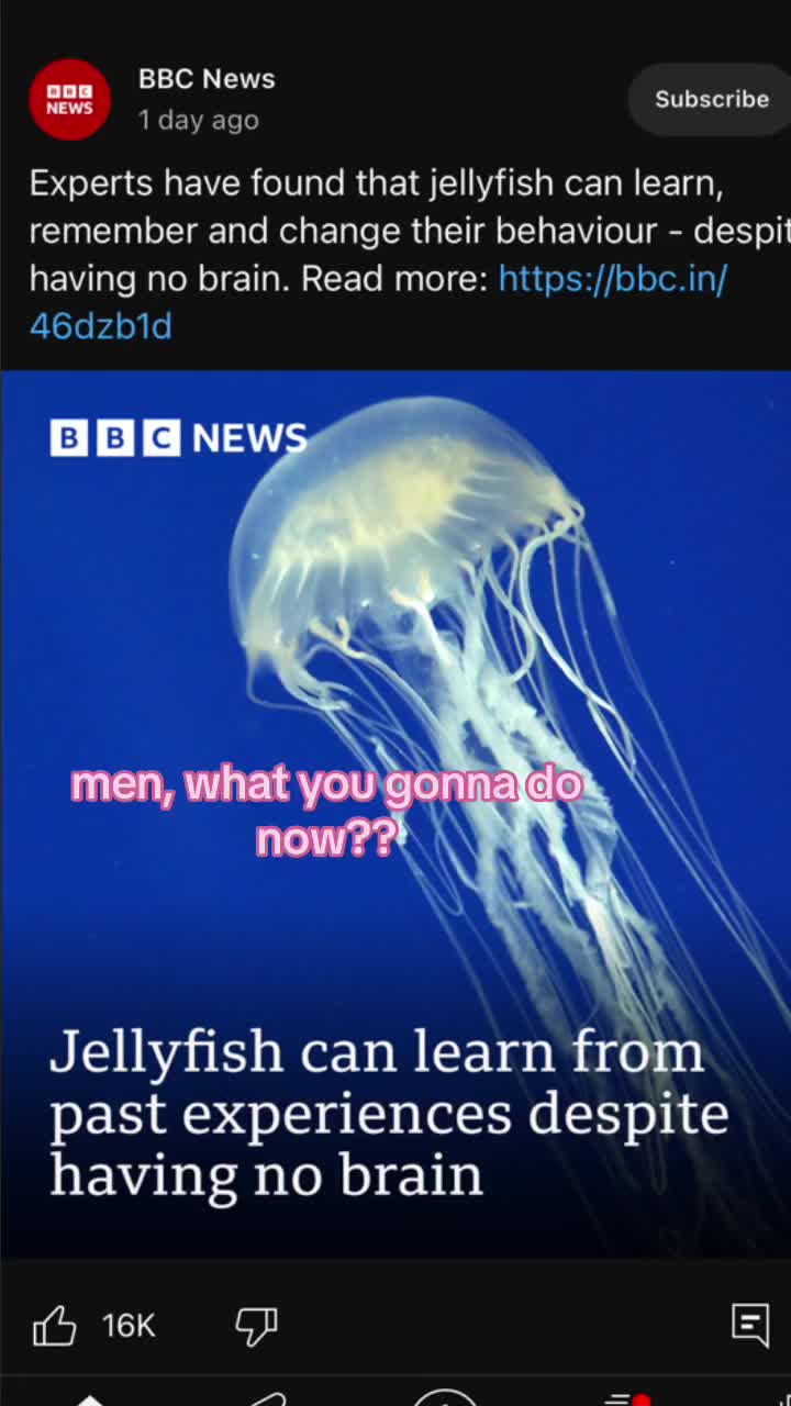 @Mon