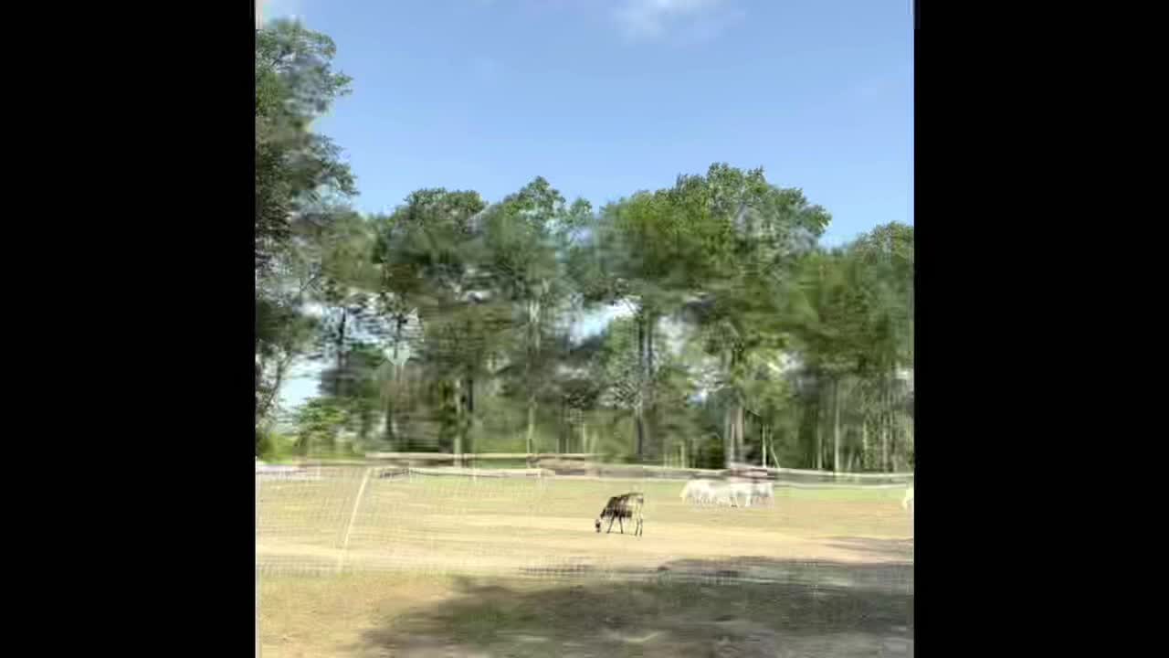 @Total_Farm