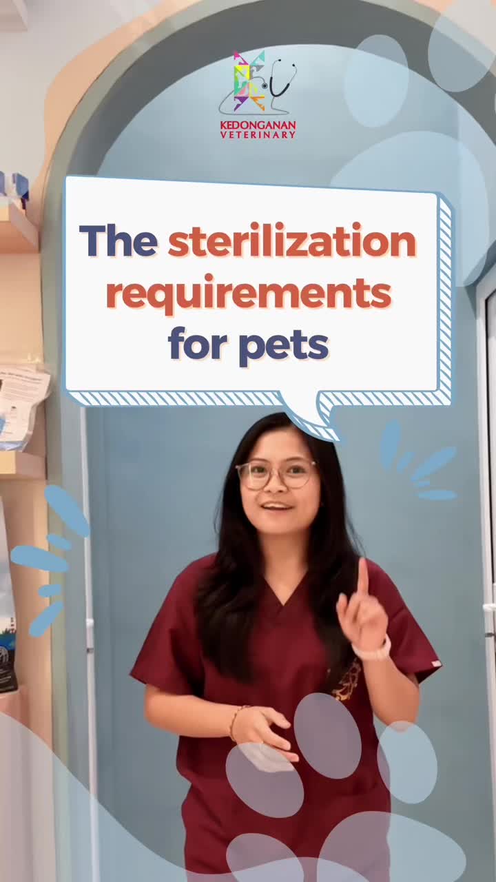 @kedonganan vet