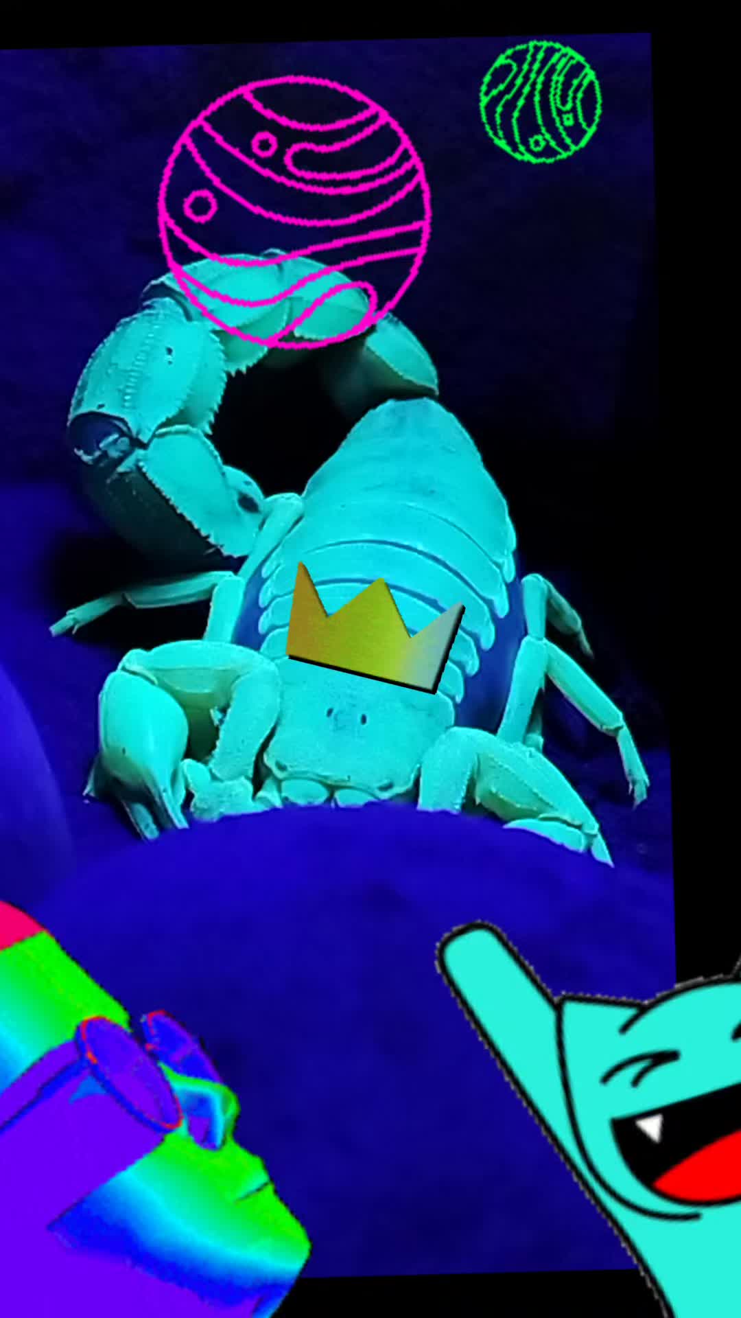 @Mycrazy🤪 animal💚🕷️ world🌏
